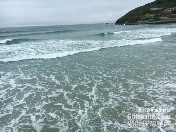 惠灵顿维多利亚大学影视专业留学