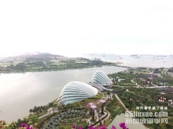 新加坡生物医学工程专业