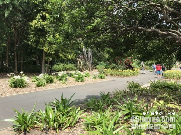 �Ĵ�������ѧѧУ