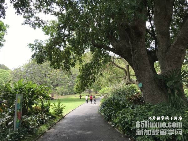 澳大利亚申请大学条件