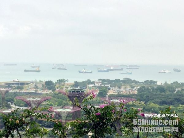 新加坡传媒类研究生申请条件