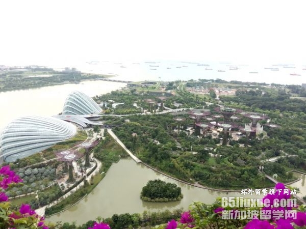 新加坡南洋理工大学学费是多少