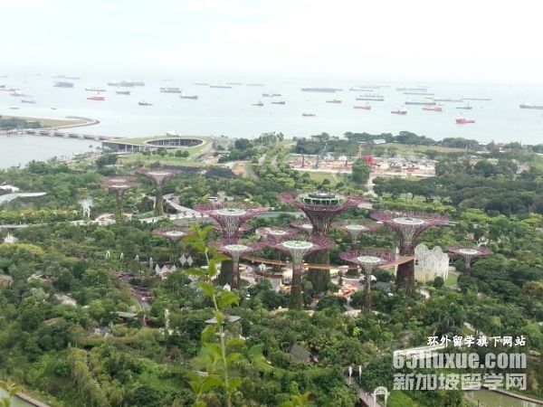 新加坡国立大学学费每年多少钱