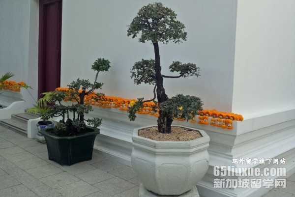 ̩��Сѧ��ѧ�������Ҫ��