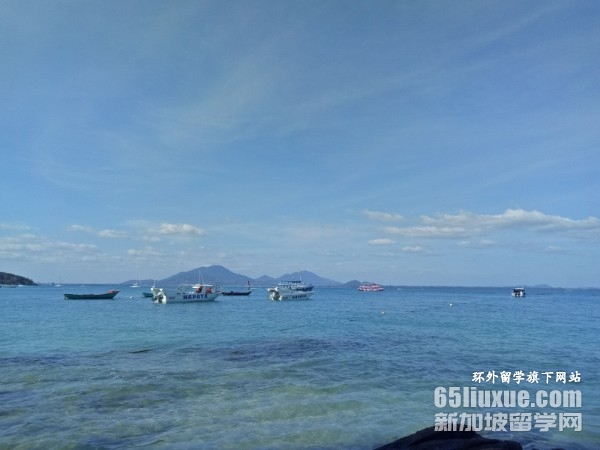 ̩����ǻʼҴ�ѧ��������