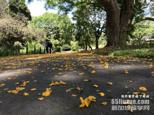 澳大利亚詹姆斯库克大学