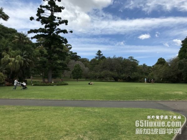 澳大利亚护理专业大学