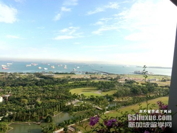 新加坡南洋理工大学法律本科