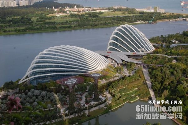 新加坡环印国际学校