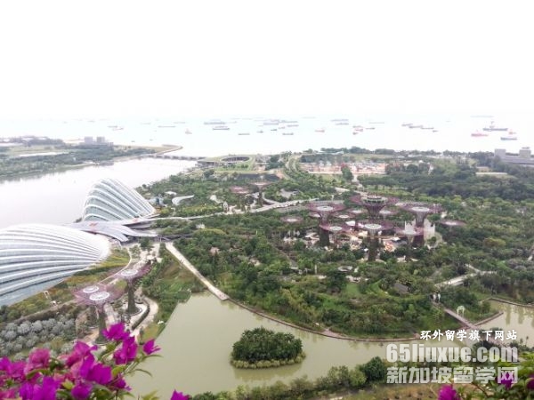 南洋理工大学2026申请