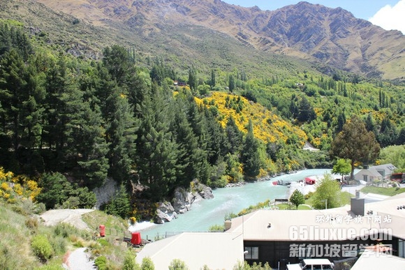 ������������ѧ��רҵ