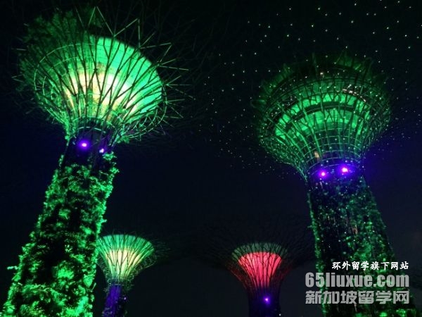 新加坡南洋理工商科本科