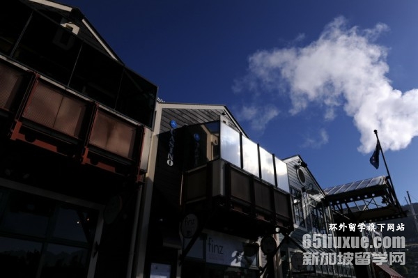 �����ά�����Ǵ�ѧѧ��