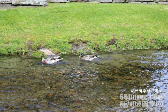 ��������ʦרҵ��ѧ��ѧ��