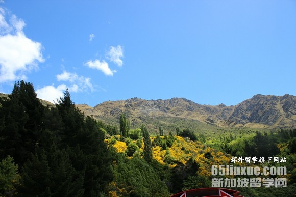 新西兰兽医专业留学