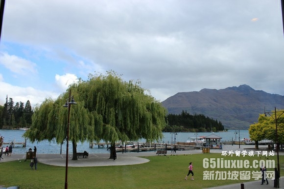 �������¿�����ѧ����ѧԺѧ��