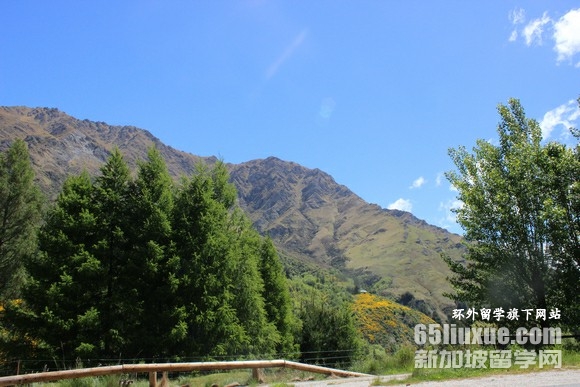 奥克兰理工大学研究生学费