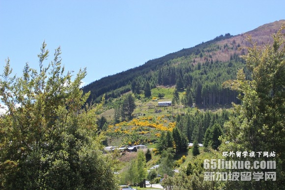 ������ҽѧרҵ�о�����ѧ