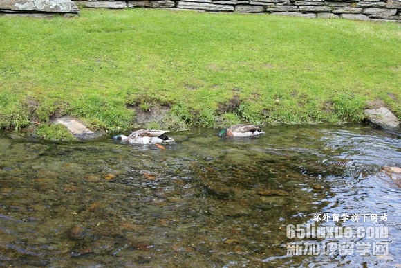 ��������ýרҵ��ѧѧ��