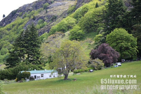 新西兰医学专业硕士留学