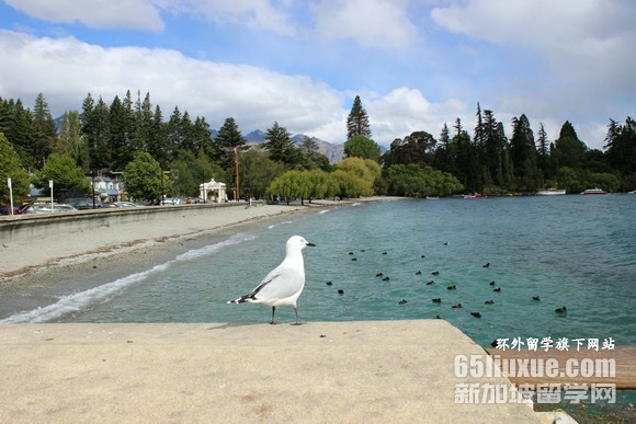 新西兰奥克兰大学世界排名