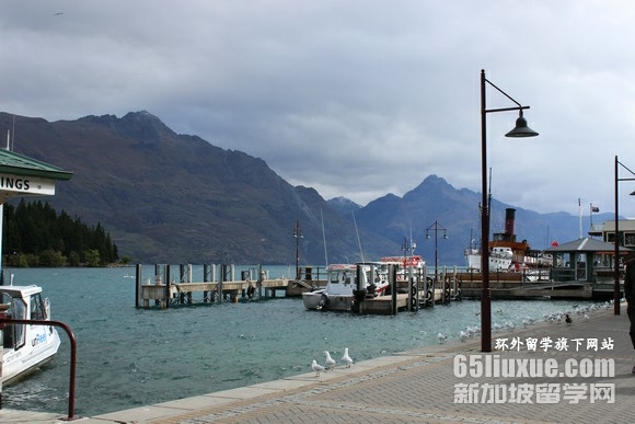 新西兰西厨专业留学的学校