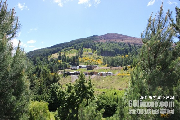 新西兰音乐专业研究生留学