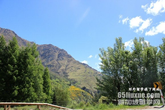 新西兰本科留学的费用