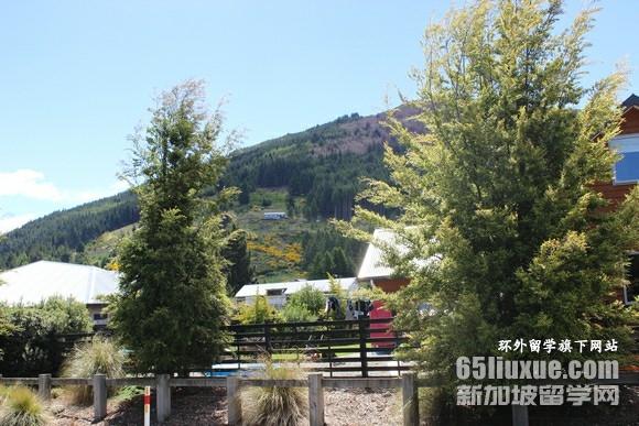 新西兰私立小学留学