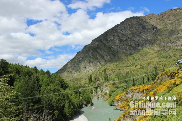 �¿���������ѧ�о�����������