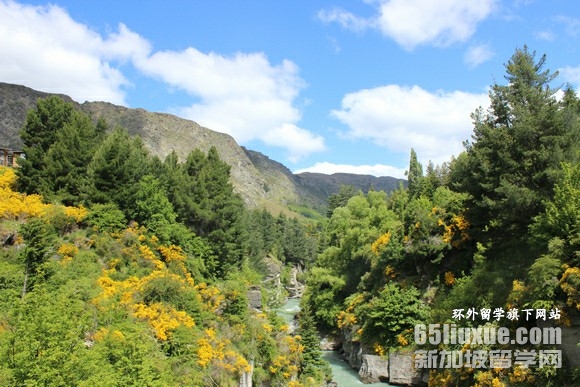 新西兰留学读研学费