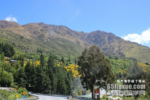 ����������רҵ��ѧѧ��