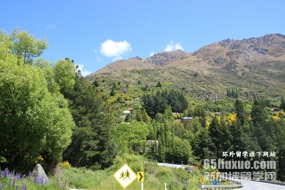 新西兰留学学费是多少