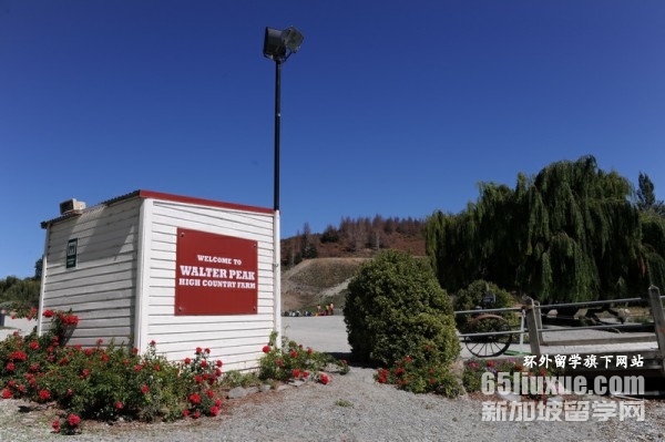 新西兰硕士留学一年费用