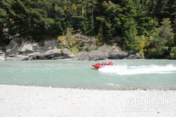 新西兰医学专业留学的费用