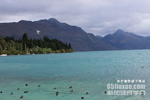 ������������ѧ�ķ��ö���