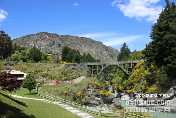 新西兰幼教专业本科申请条件