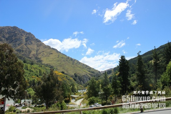 新西兰护理专业留学要求