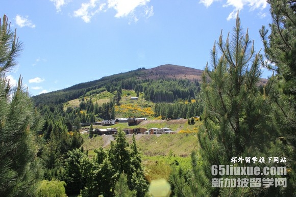 新西兰奥塔哥大学申请条件