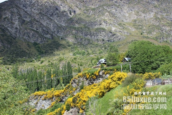 新西兰读大学费用多少钱