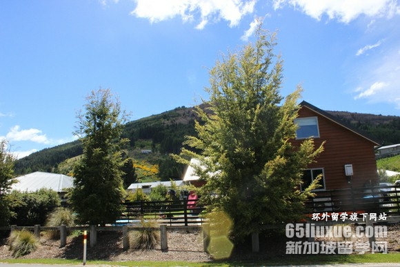 新西兰小学留学学费