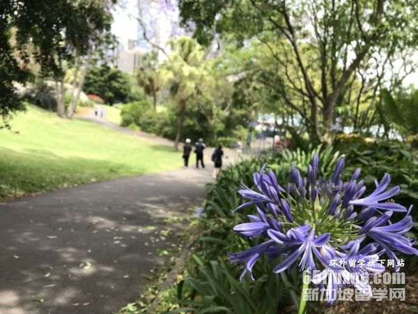 �Ĵ����ǵĽ���רҵ