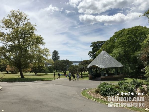 ���Ĵ����Ǵ�ѧ�̿�