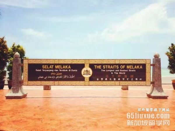 ���������ٴ�ҽѧרҵ�о�����ѧ