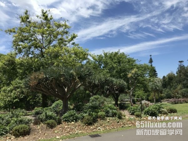 �Ĵ����Ǳ��ƻ�ѧרҵ