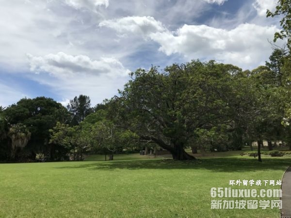 �Ĵ����Ǵ�ѧ�и�Ҫ��