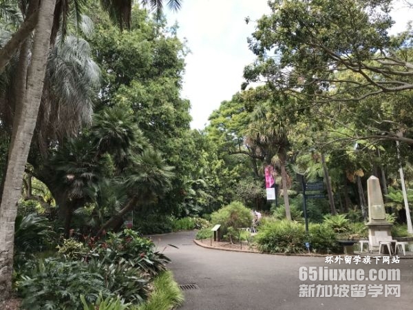 澳大利亚大学商科