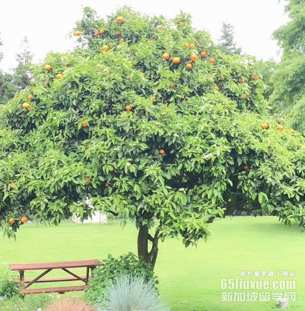 ���������רҵ˶ʿ��ѧ