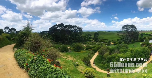 �¿�����ѧ����ѧ��