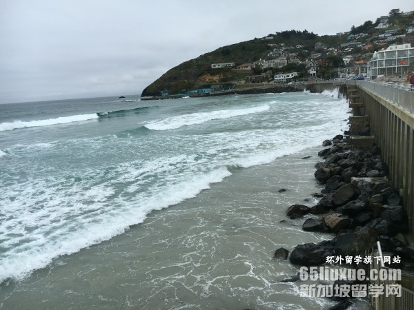 �������̿�רҵ��ѧҪ��